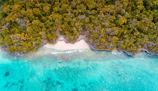 Pungume Island Sandbank